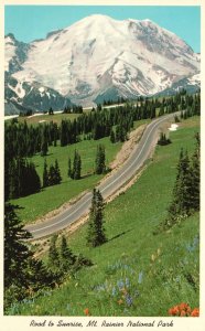 Vintage Postcard Road To Sunrise Mt. Ranier National Park Washington WA