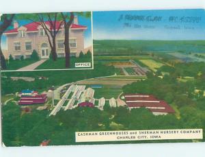 Pre-1980 Postcard Ad CASHMAN GREENHOUSES Charles City Iowa IA hn5408