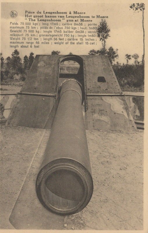 Military Postcard - Het Groot Kanon Van Leugenboom Te Moere, Belgium RS23024 