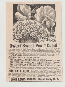 1896 Print Ad John Lewis Childs Flowers Dwarf Sweet Pea, Cupid, Floral Park NY