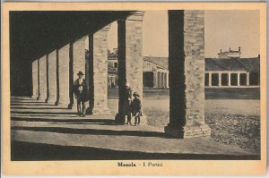 49497 vintage postcard - FERRARA province - MESOLA-