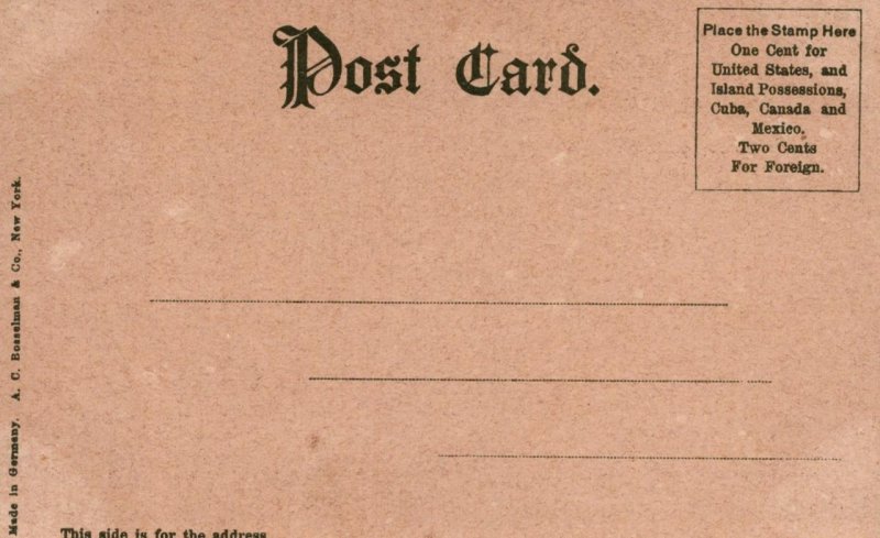 CONSTITUTION MONUMENT NEW & OLD SPANISH CATHEDRAL ST. AUGUSTINE FLORIDA POSTCARD