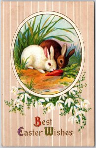 1910's Best Easter Wishes Bunnies Flower Tiny Petals Posted Postcard