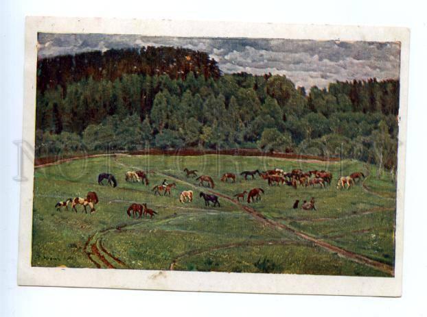 170523 HORSES Herd by YUON vintage ADVERTISING Philatelic PC