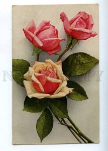 202277 Pink ROSES Flowers Bouquet Vintage Paul Bender postcard