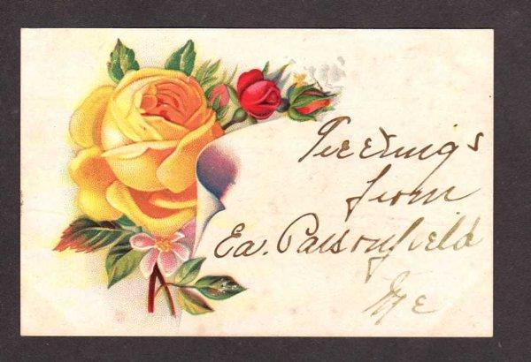 ME Greetings from EAST PARSONFIELD MAINE Postcard Roses