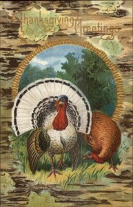 Thanksgiving - Turkeys Embossed Gold Lettering c1910 Postcard