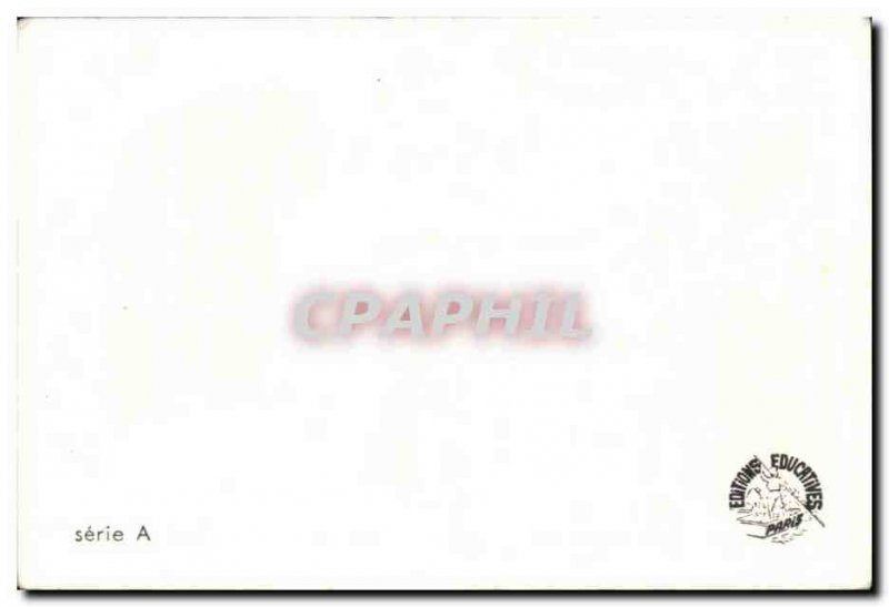 Image Two joyful careless Bear Bear