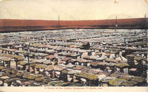 Fort Smith Arkansas c1910 Postcard Scene At The Cotton Compress Bales