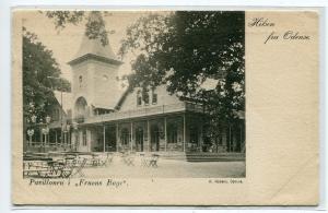 Pavillonen Fruens Boge Odense Denmark 1905c postcard