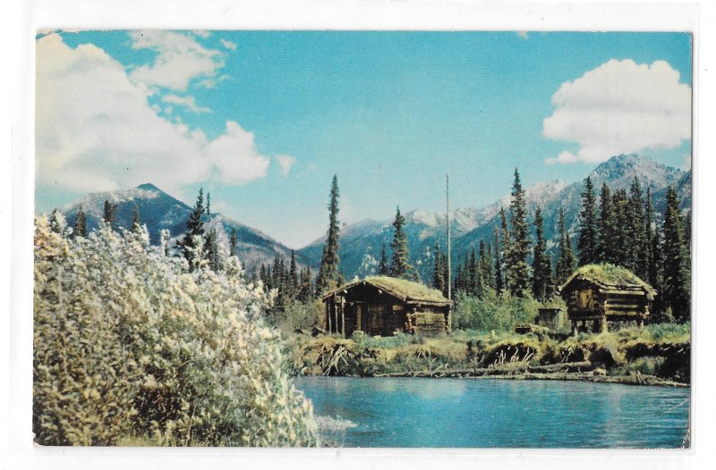 AK Trappers Cabin Food Cache Fur Trader Alaska Vintage Ward Wells Photo Postcard