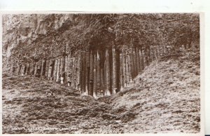 Northern Ireland Postcard - Giant's Organ - Giant´s Causeway - RP - Ref 13086A