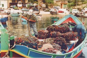 Malta Postcard - Fishermen at Mgarr Harbour, Gozo  RR23262