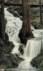 Twin Pines - Shasta Springs, CA