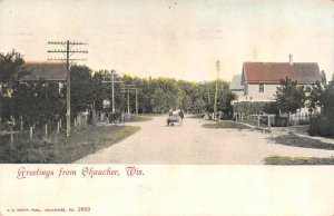 Okauchee, WI Wisconsin STREET SCENE~HOMES Oconomowoc~Waukesha Co  1909 Postcard