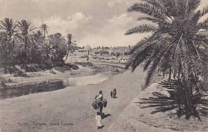 Tunisia Dans l'oasis 1909