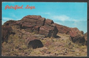 Arizona - Petrified Logs - [AZ-230]