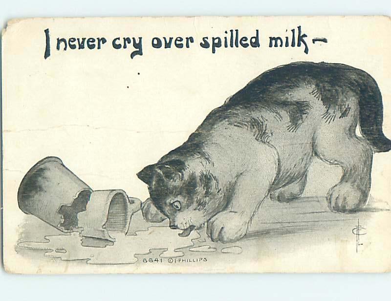 Bent 1917 signed KITTEN CAT LAPPING UP SPILT MILK HL6193