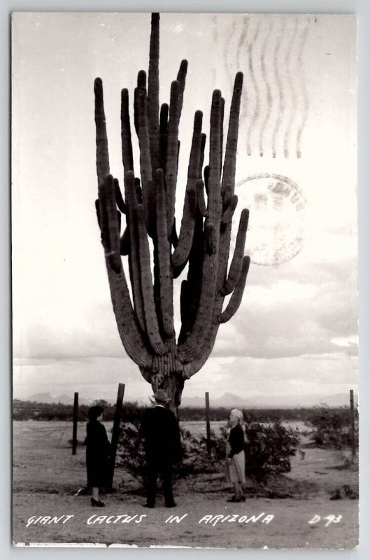 RPPC Giant Cactus in Arizona Real Photo 1943 Elsner Family Colorado Postcard J22