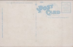 USA Massachusetts Lexington The Minute Man Statue Vintage Postcard C249