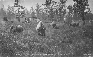 C-1910 Buffalo Pt Defiance Park Tacoma Washington RPPC Real photo postcard 11079