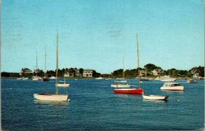 Vtg Sailboats from Watch Hill Rhode Island RI 1960s Postcard