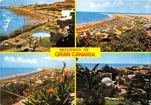 BG27319 recuredo de gran canaria   spain