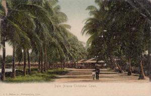 LP84  Panama, Canal Zone, postcard, Palm Avenue, Cristobal 