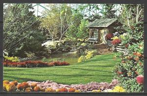 Wisconsin, Milwaukee - Chrysanthemums & Cabin - County Park - [WI-086]