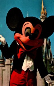 Florida Walt Disney World Mickey Mouse Welcome To Fantasyland