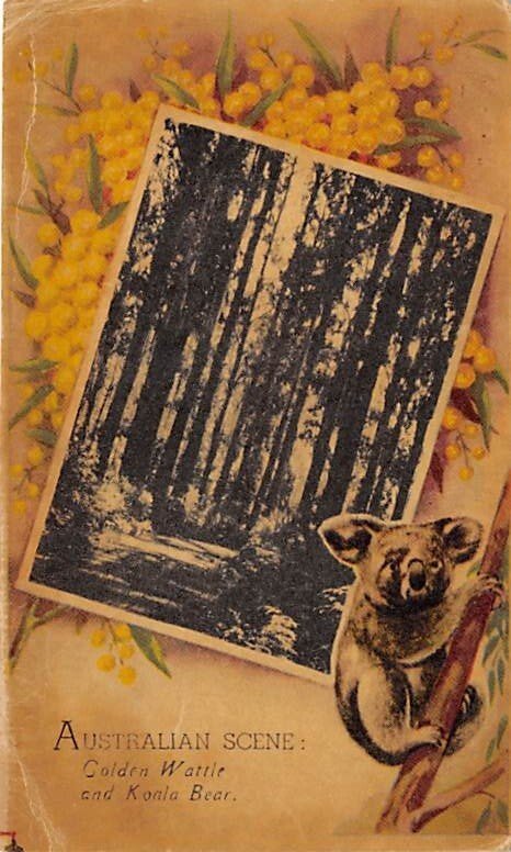 Golden Wattle and Koala Bear Australia Bear 1943 Missing Stamp 