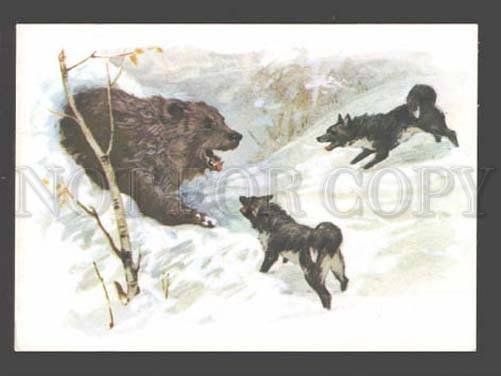 089909 Winter LAIKA on BEAR Hunt by ARISTOV Old Russian Color