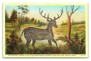 Life Size Deer 657 Lg. Rattle Snake Rattles Curio Store San Antonio TX Postcard