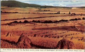 1943 WWII WASHINGTON STATE ARMED SERVICES ANNUAL WHEAT CROP POSTCARD 38-236