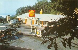 CLINCH MOUNTAIN LOOKOUT Shell Gas Station Roadside Thorn Hill TN c1960s Postcard