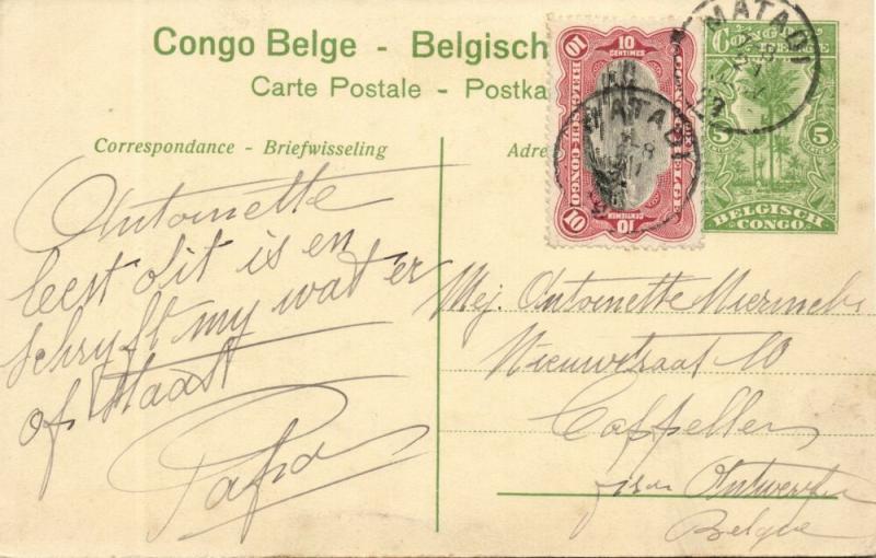 belgian congo, BANANA BANANE, View on Congo River, Palm (1920s) Postcard (05)