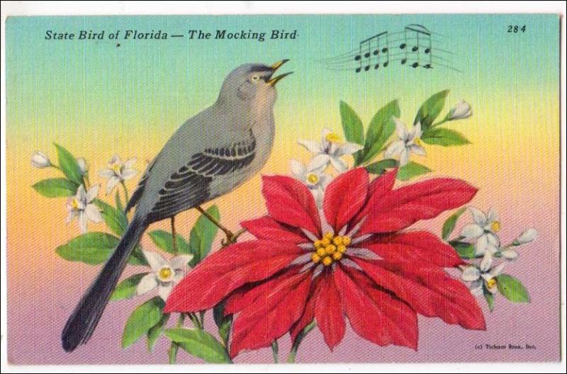 State Bird of Florida, Mocking Bird