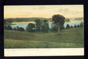 Brookline, Massachusetts/MA Postcard, Chestnut Hill Reservoir
