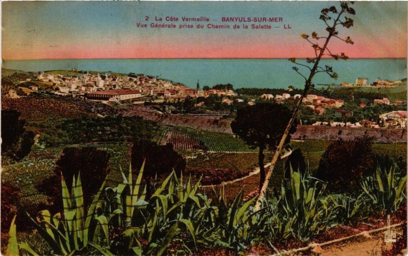 CPA La Cote VERMEILLE BANYULS sur-MER Vue générale prise du Chemin (451338)