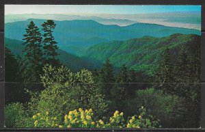 North Carolina - Clingmans Dome - [NC-136]