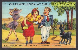 Look at the Cute Little Ass in the Southwest Risque Linen Comic Postcard 1940s