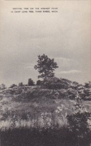 Sentinel Tree On The Highest Point In Camp Lone Tree Three Rivers Michigan Ar...