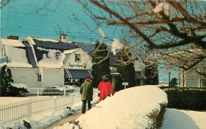 Postcard Wisconsin Powers Lake Honey Bear Farm Winter Teich occupation 23-11220