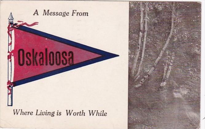 Pennant Series Oskaloosa Iowa 1913