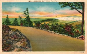 Vintage Postcard 1940 A Scene on Blue Ridge Parkway US National Park Service NC