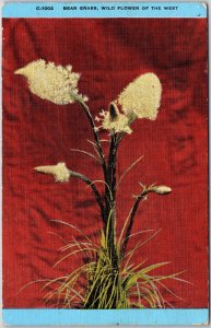 Wildflowers of the West Bear Grass Western Montana & Northern Idaho Postcard