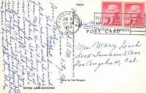 Kitten and Duckling Cat Postcard