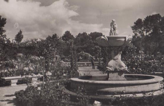 Lourdes The Miraculous Grotto Real Photo Postcard