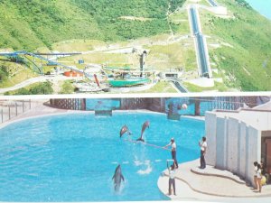 The Ocean Park Aberdeen Hong Kong Vintage Postcard Dolphins Leaping in Pool.