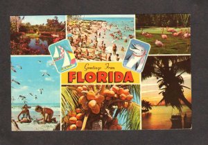 FL Greetings From Florida Postcard Beach Palm Trees Multi View